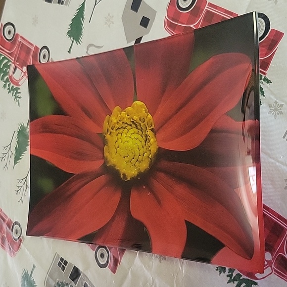 Pretty poinsettia trinket/ severing plate. - Picture 1 of 4